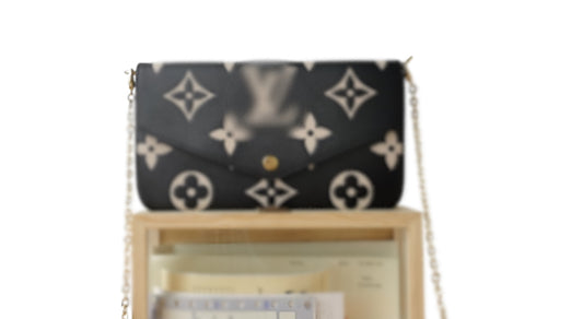 Fina Lv Purse